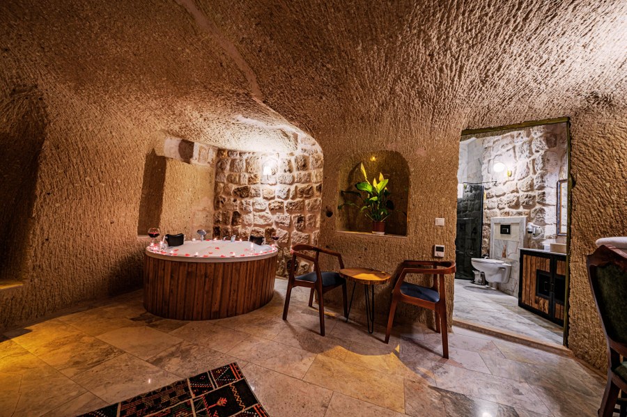 alt kat 3 900x599 14 7 25341